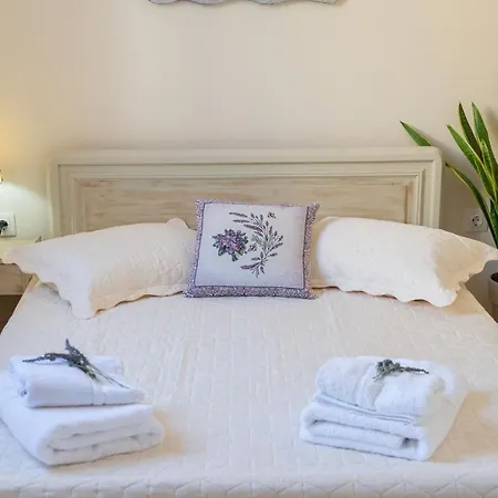 Flowers In The - Elegant In Holiday home